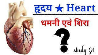 Heart  science biology science video class Study 91 Nitin sir [upl. by Reuven]