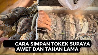 CARA SIMPAN TOKEK AGAR AWET [upl. by Kilah]