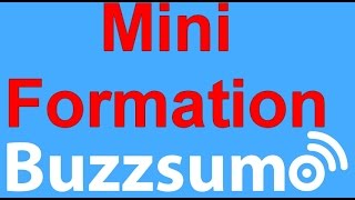 Mini formation à Buzzsumo [upl. by Alger]