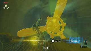 The Legend of Zelda Breath of the Wild  100 Run  Day 145 [upl. by Kaufmann]