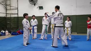 Lorenzo Taekwondo Primer cinto blanco punta amarilla 2019 [upl. by Nylsoj]