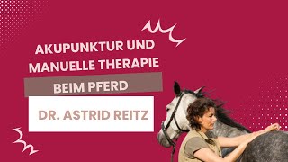 Akupunktur und Manuelle Therapie beim Pferd  Dr Astrid Reitz [upl. by Idnarb]