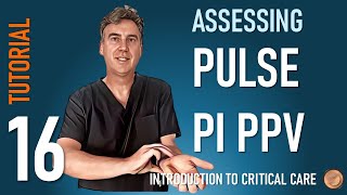 Pulse Pulsatility Index and Pulse Pressure Variation [upl. by Ihcekn]