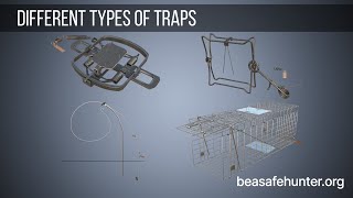 Different types of traps [upl. by Stricklan]