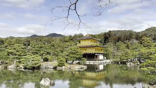 🇯🇵 Kinkakuji Temple is Rokuonji Temple 20240224 [upl. by Nuzzi]