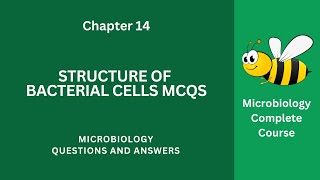 Structure of Bacterial Cells MCQ Questions Answers PDF  Bacterial Cells Class 912 MCQs Ch 14 Notes [upl. by Ethelyn]