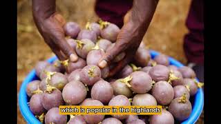 Passion Fruit Farming In Kenya The Current State of the Industry [upl. by Kalin]