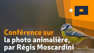 Conférence sur la photo animalière par Régis Moscardini [upl. by Magbie]