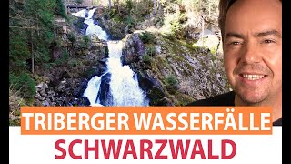 Triberger Wasserfälle  Ausflugsziele Schwarzwald [upl. by Aneed]