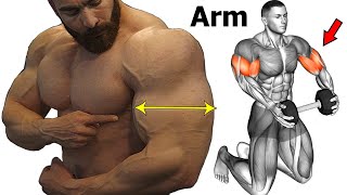 14 Best Workout To Get Big And Perfect Arms [upl. by Dera183]