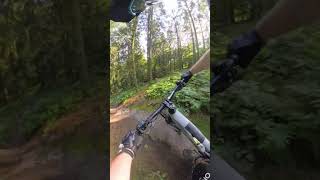 A technical mountain bike trail [upl. by Nwavahs]