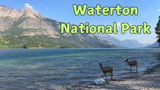 Waterton National Park [upl. by Peregrine]