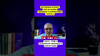 AS CAUSAS ATUAIS DAS AFLIÇÕES SEGUNDO O ESPIRITISMO PARTE 2 [upl. by Kiehl]