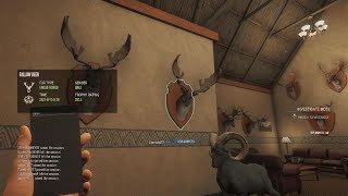 Checking out peoples trophy lodges [upl. by Harehs]