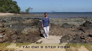 8 step form from Wudang China [upl. by Aniela421]