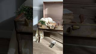 Vintage suitcase flip into table [upl. by Ydak]