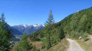 Lötschentaler Höhenweg Fafleralp Lauchernalp 4k [upl. by Nnayt240]