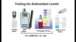 Best Water Ionizer Comparisons [upl. by Akselav]