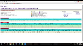 Lab 30 HAProxy Setup  High Availability Tomcat Service on CentOS 7 [upl. by Ahsenac]