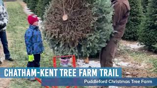 ChathamKent Christmas Tree Trail [upl. by Winna]