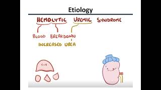 hemolytic uremic syndrome HUS [upl. by Rehotsirhc]