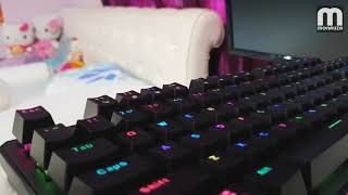 RACUN Tecware Phantom RGB CloseUp Video [upl. by Freemon]