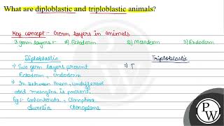 What are diploblastic and triploblastic animals [upl. by Ardme]