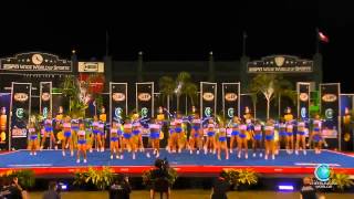 The Stingray All Stars  Orange 2014 Senior Large Finals [upl. by Anaeirb]