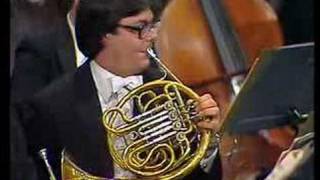 Tchaikovskys 5th Symphony Horn Solo [upl. by Landri]