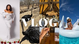 VLOG  Life update QampA  A day in the wilderness  more surprises [upl. by Mattland]