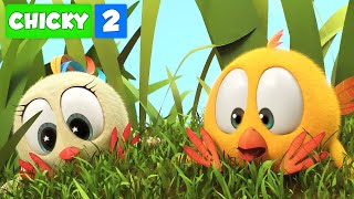 Onde está Chicky TEMPORADA 2  NA SELVA COM BEKKY  Desenhos Animados Infantil [upl. by Tiffie]