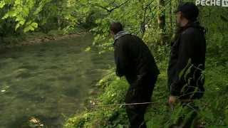 Pêche de la truites aux leurres dans lAin sur lAlbarine [upl. by Zins]