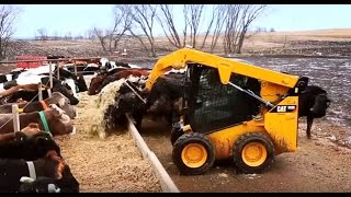 Cat® Skid Steer Loader Tip of the Month Machine Safety on the Farm [upl. by Roumell238]