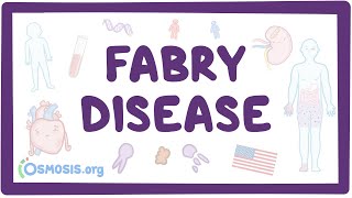 Fabry disease  causes symptoms diagnosis treatment pathology [upl. by Winchell]