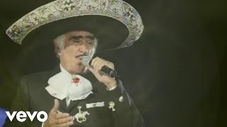 Vicente Fernández Mariachi México de Pepe Villa  El Tahur Audio [upl. by Nelia]