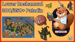 Lower Roshamuul  300350 Paladin  Tibia [upl. by Dupuy454]