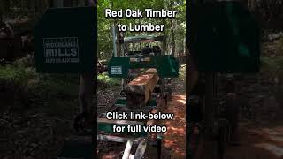 Red Oak Sawmill Lumber [upl. by Benedikta905]