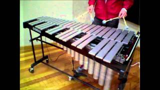 Vibraphone Techniques [upl. by Arec395]