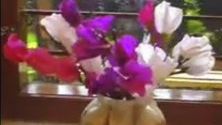 How to make Paper flower Sweet Pea Lathyrus odoratus Flower  5 [upl. by Akayas322]