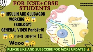 glucagon action l insulin dosage l type 2 strategies 😱😱😲 [upl. by Eniluqaj]