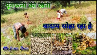 NEW VIDEO  Badam Ke Khetti Ka Video  New Video Badam Ke  My New Vlog Video  Md Jamil Bhai [upl. by Higgins]