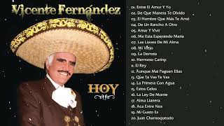 VICENTE FERNANDEZ MIX PA PISTEAR PARA ADOLORIDOS [upl. by Delahk]