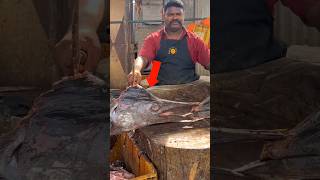 Why Sword Fish Is Rarely Found In Indian Fish Market [upl. by Aikemaj]