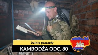 Kambodża  Dzikie pszczoły odc 80 [upl. by Tyson]