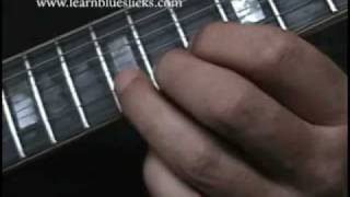 Blues Lesson  BB Kingstyle Lick [upl. by Gnat]