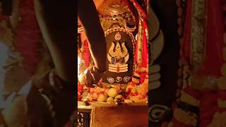 Jai Mahakalujjain mahakal bhasmarti viralvideo [upl. by Ayom422]