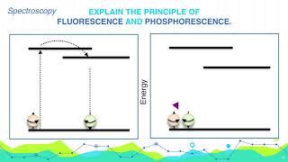 Explain the principle of Fluorescence and Phosphorescence  Analytical Chemistry [upl. by Notnats]