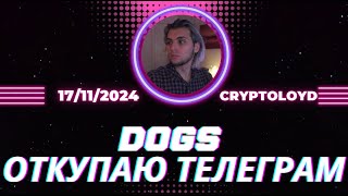 ОТКУПАЮ DOGS TELEGRAM ПАША ДУРОВ ИНСАЙДЕР [upl. by Apfel]