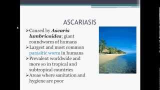 Parasitology Ascariasis Ascaris lumbricoides [upl. by Watkins894]