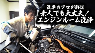 【エンジンルーム洗浄のやり方】え？素人がやってもいいの？を【洗車のプロ】が教えます。【実はこんな所も気をつけている】 [upl. by Kwarteng]